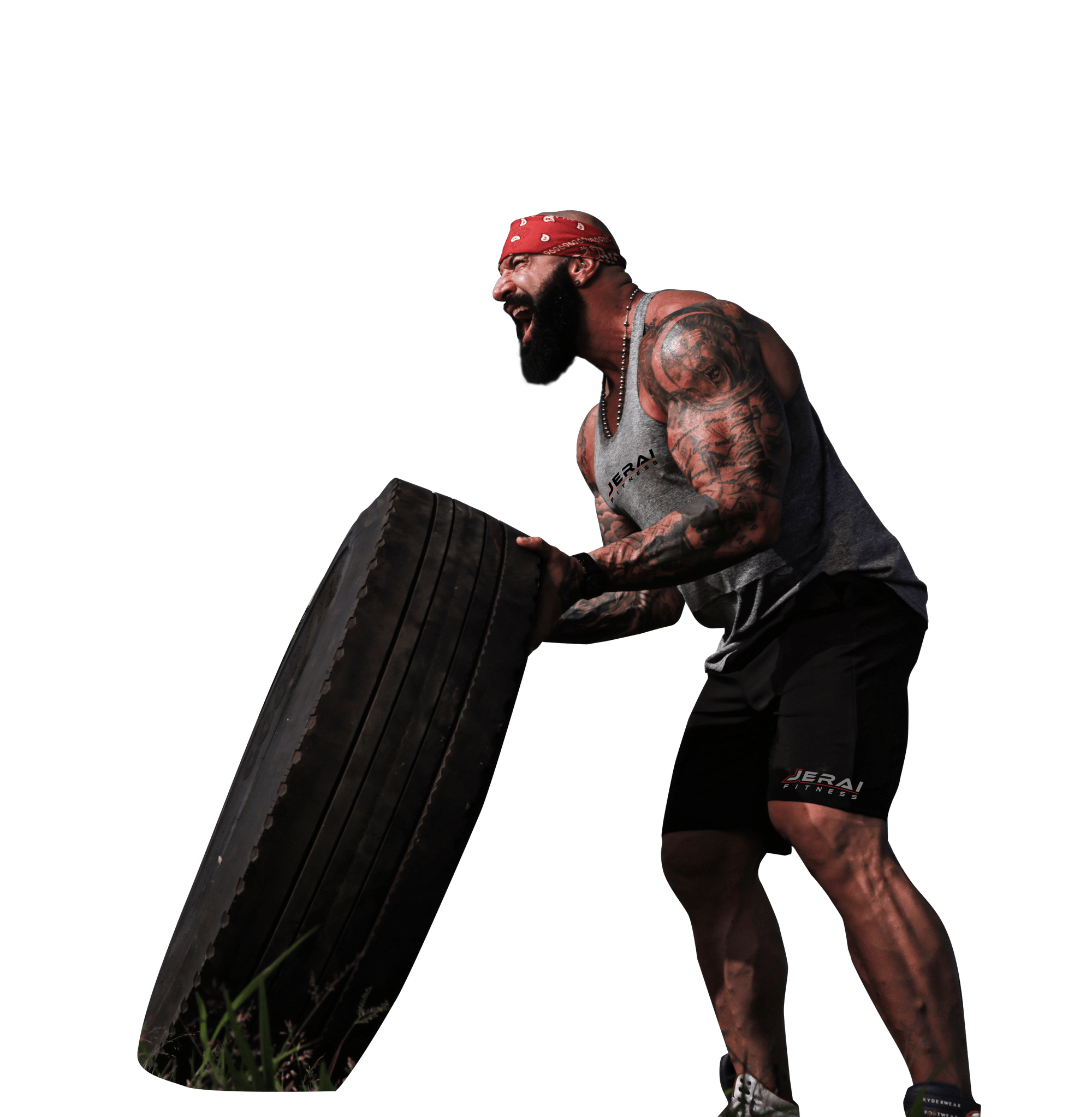 Gym Equipment Manufacturers in India Home Gym Fitness Equipment